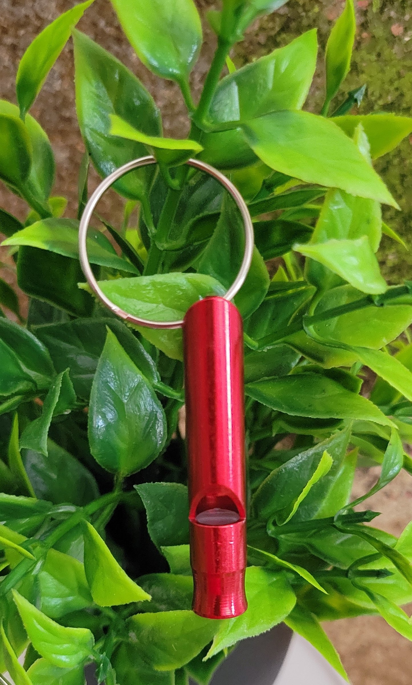 Whistle Key Chain