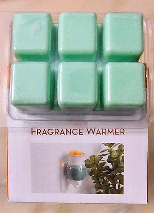 Fragrance Warmer